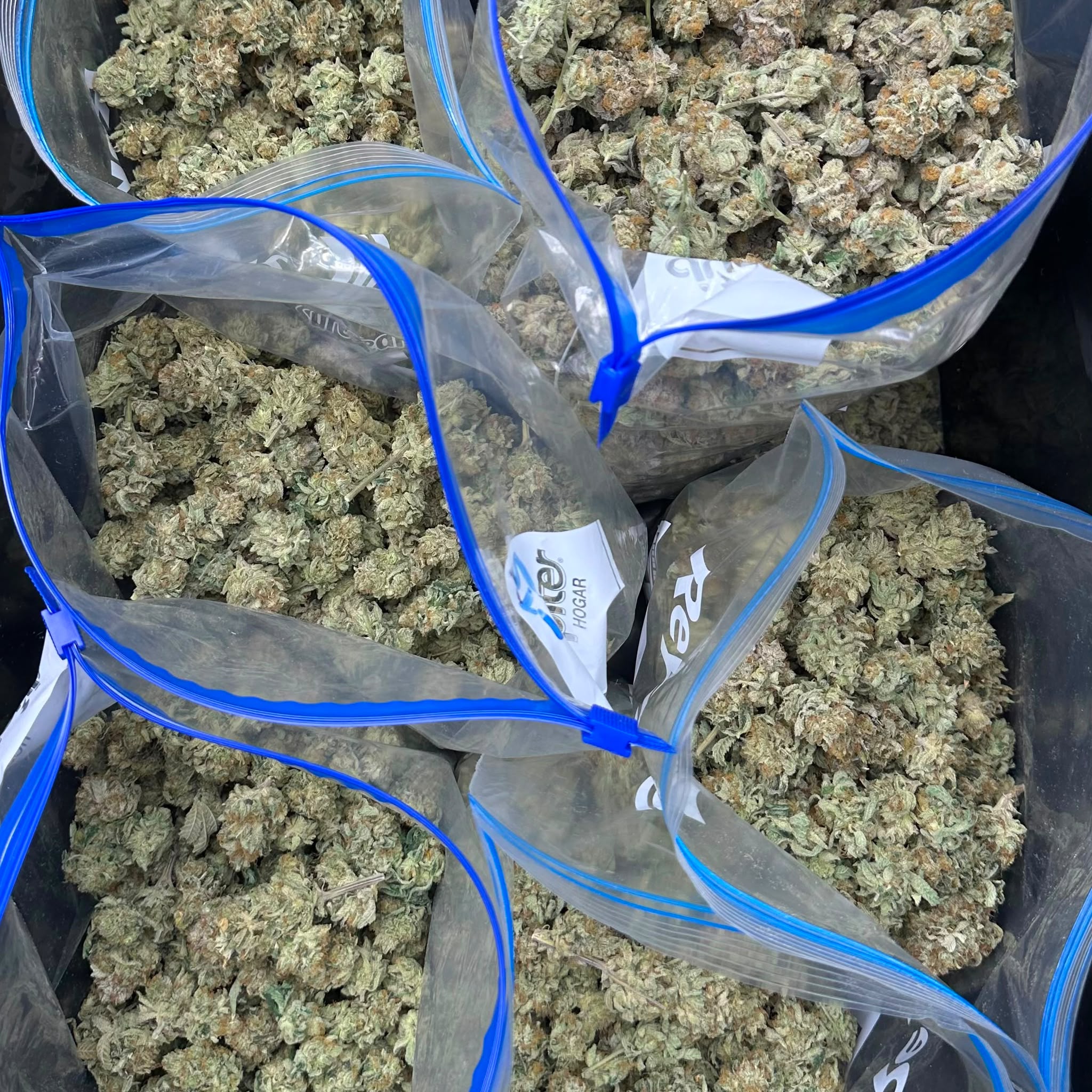 Flores de cannabis premium Siete Pitadas